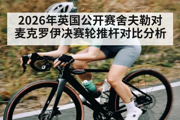 2026年英国公开赛舍夫勒对麦克罗伊决赛轮推杆对比分析
